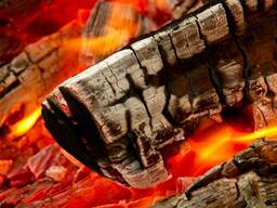 Wholesale Eucalyptus charcoal natural hardwood lump charcoal