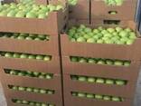 Package and packing of apple - boxes, corrugated boxes