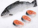 Top Grade Wholesale Cheap Good to Eat Frozen Salmon Fish for Fresh Seafood - фото 3