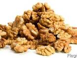 Walnuts, pistachio, hazelnut, pumpkin seeds, almond - photo 2