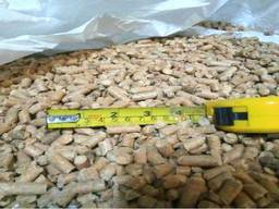 Wholesale High Quality Product Competitive Price Wood Pellets