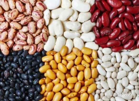 I will sell beans фасоль