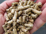 Wood pellets | Manufacturer | 1000 tons p. m. | Eco-fuel | Ultima
